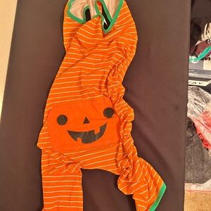 Halloween Costume for Dog